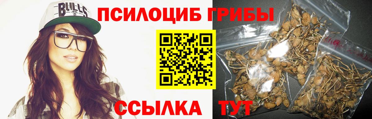 Тутаев  Галлюциногенные грибы GOLDEN TEACHER  Вход с VPN 