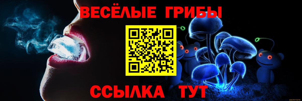 Псилоцибиновые грибы GOLDEN TEACHER Тутаев